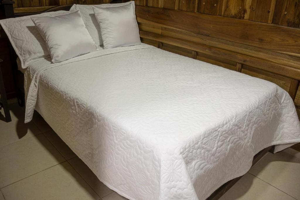 Ayenda Marana Otel Manizales Dış mekan fotoğraf